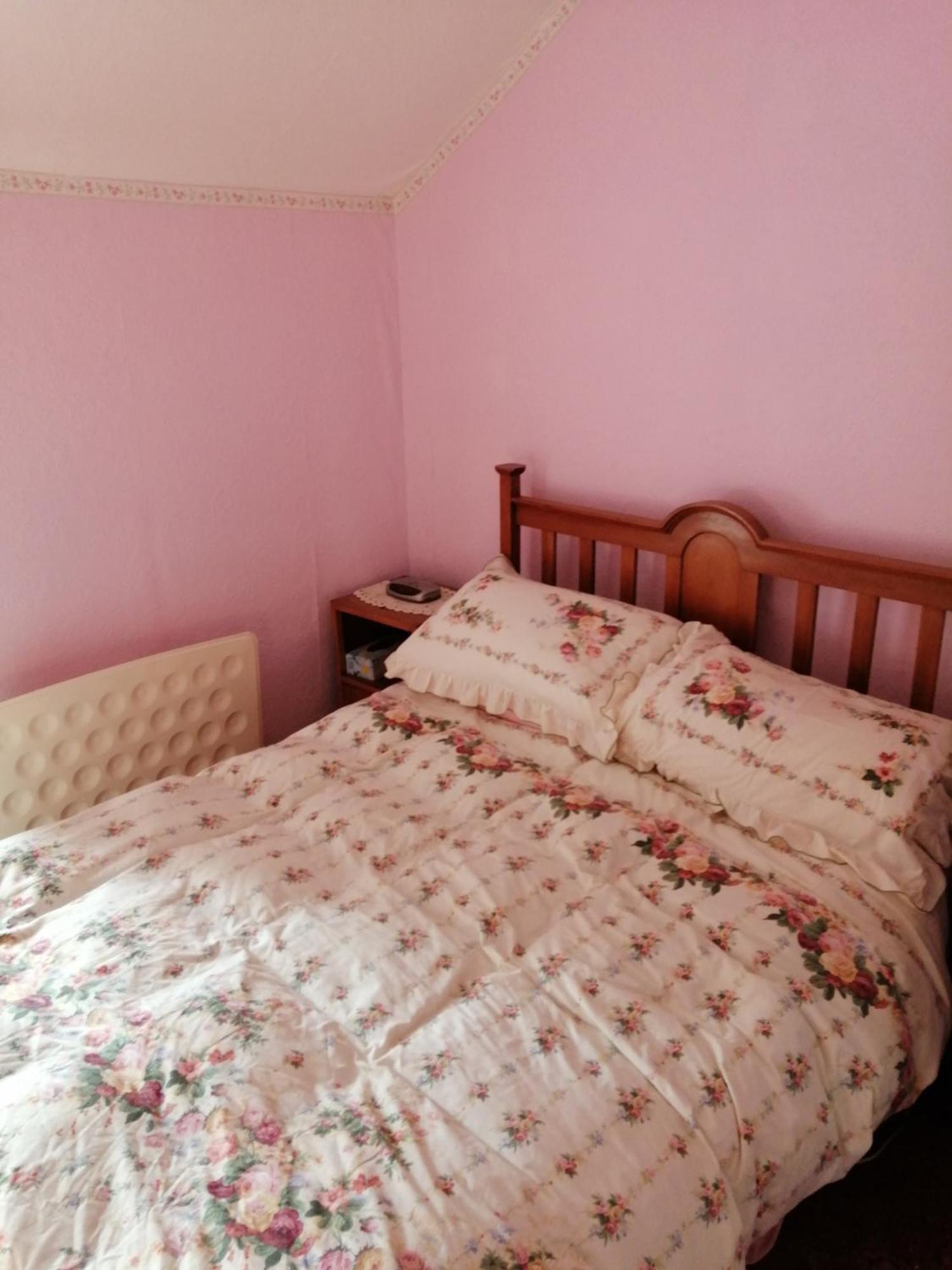 2 Rhys Terrace Holiday home Machynlleth